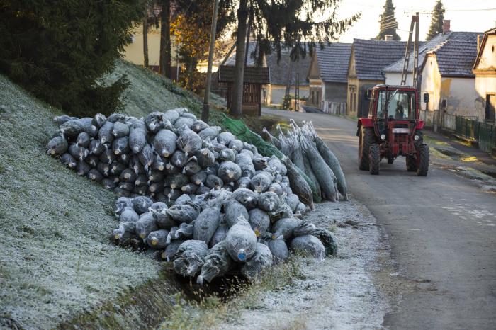 Országszerte óvintézkedésekkel rendezik meg idén az adventi vásárokat