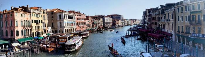 Delfint láttak a velencei Canal Grande-ban
